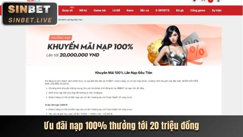 Kênh mạng xã hội của 65win